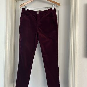 Democracy AB Maroon Cotton 2% Spandex Pants 6P Velvet feel. NWT!